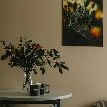 Rohe Hostel Tartu